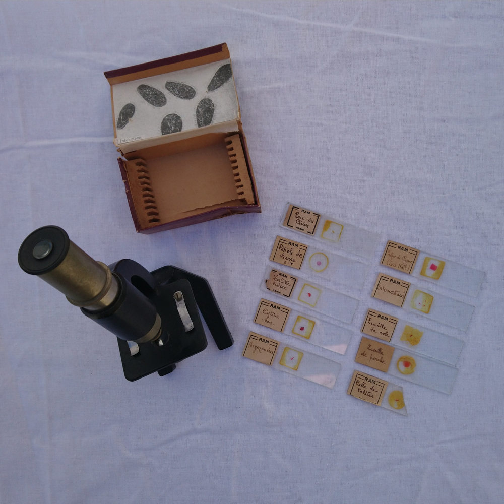 Microscope monoculaire ancien - Old monocular microscope Microscope monoculaire ancien - Old monocular microscope