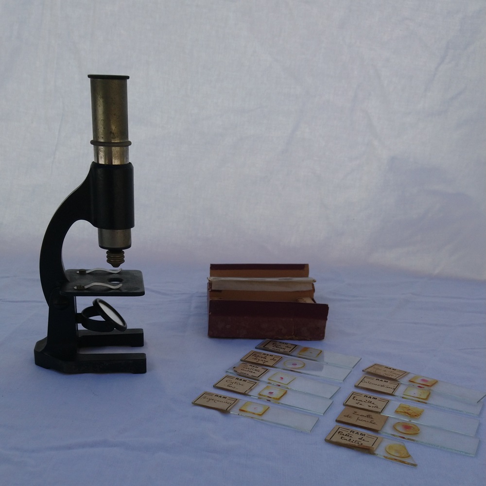 Microscope monoculaire ancien - Old monocular microscope